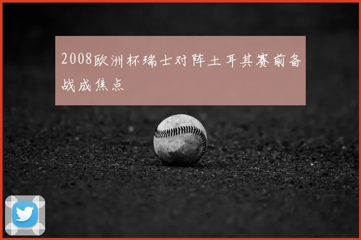 2008欧洲杯瑞士对阵土耳其赛前备战成焦点