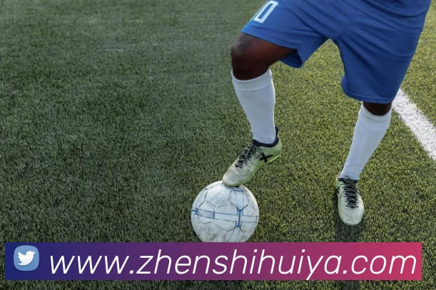 奇异果官方网站 - 奇异果(中国)发展历程